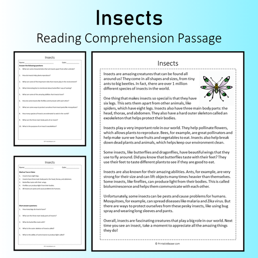 Insects | Reading Comprehension Passage Printable Worksheet