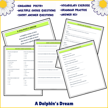 A Dolphin's Dream | Poem Grammar Worksheet Printable Activity