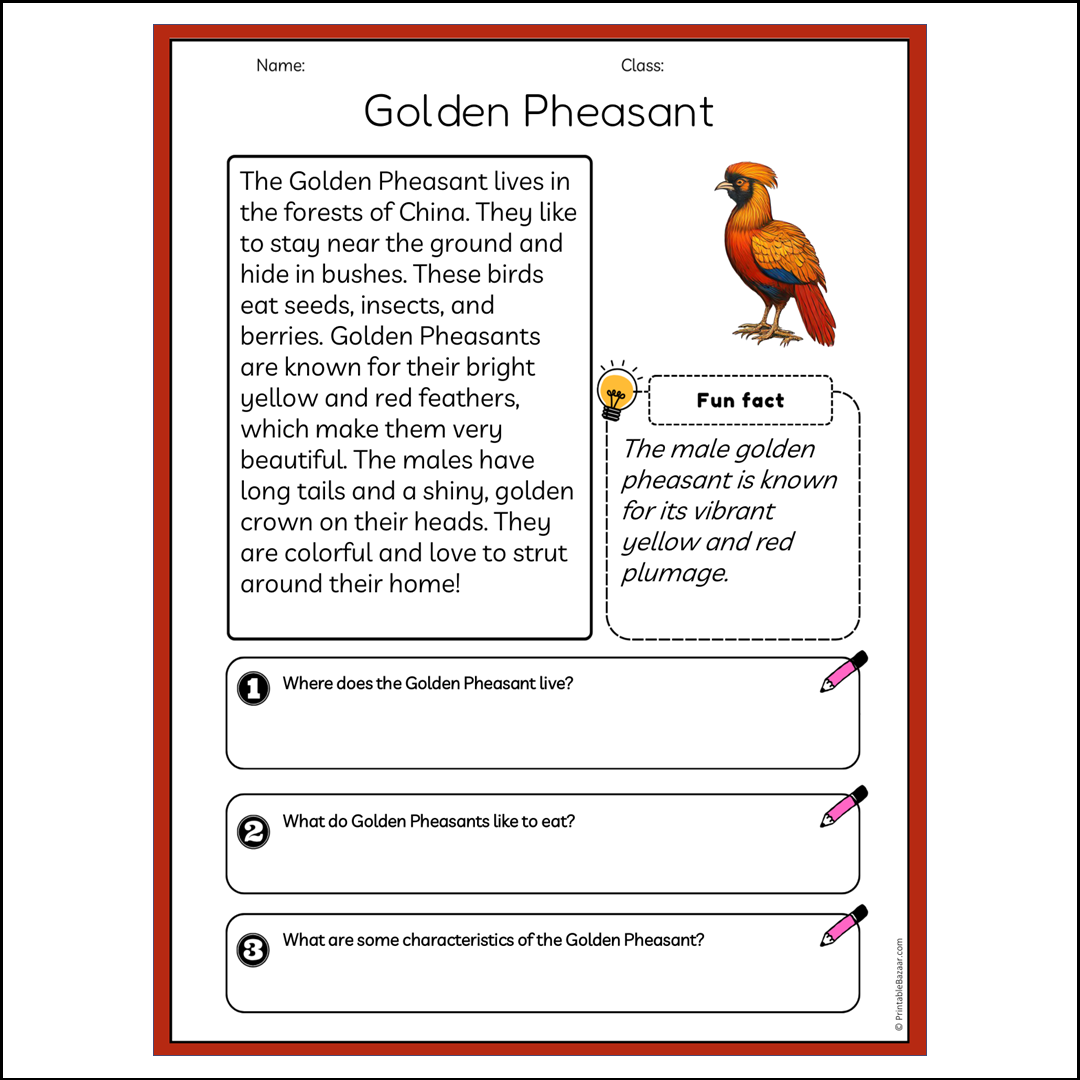 Golden Pheasant | Reading Passage Comprehension Questions Writing Facts Worksheet