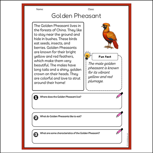 Golden Pheasant | Reading Passage Comprehension Questions Writing Facts Worksheet