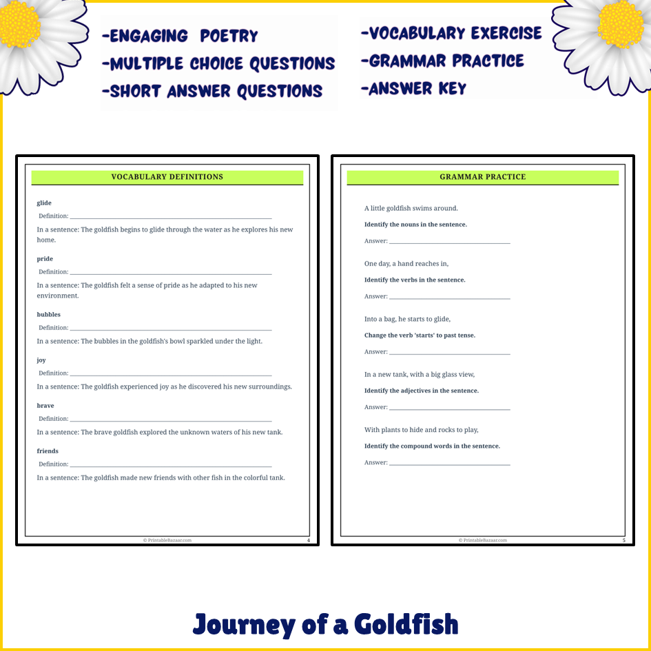 Journey of a Goldfish | Poem Grammar Worksheet Printable Activity