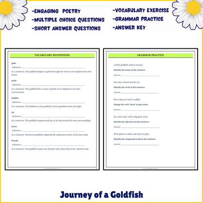 Journey of a Goldfish | Poem Grammar Worksheet Printable Activity