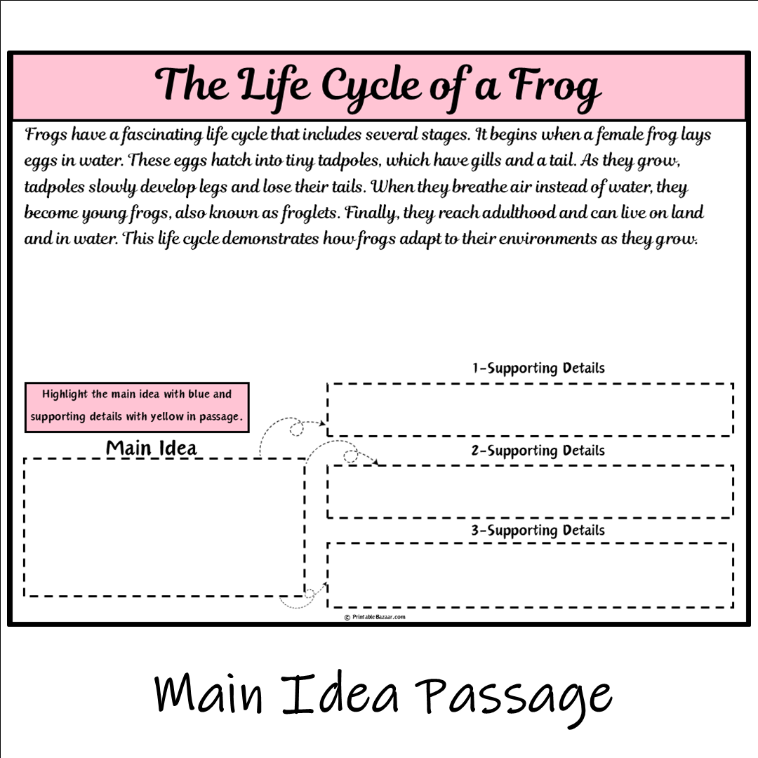 The Life Cycle of a Frog | Main Idea and Supporting Details Reading Passage and Questions