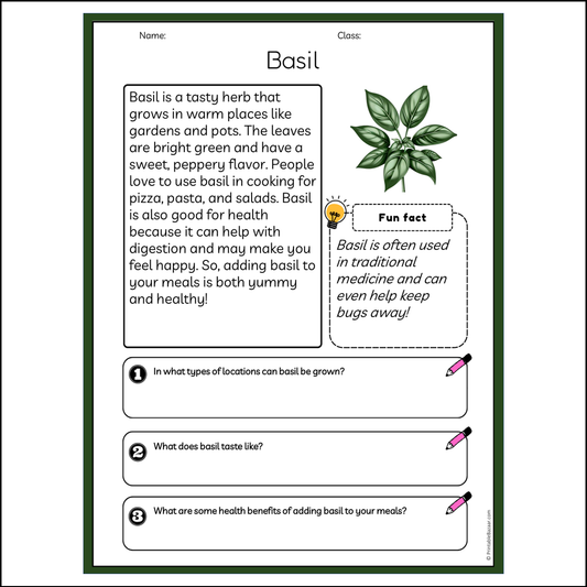 Basil | Reading Passage Comprehension Questions Writing Facts Worksheet