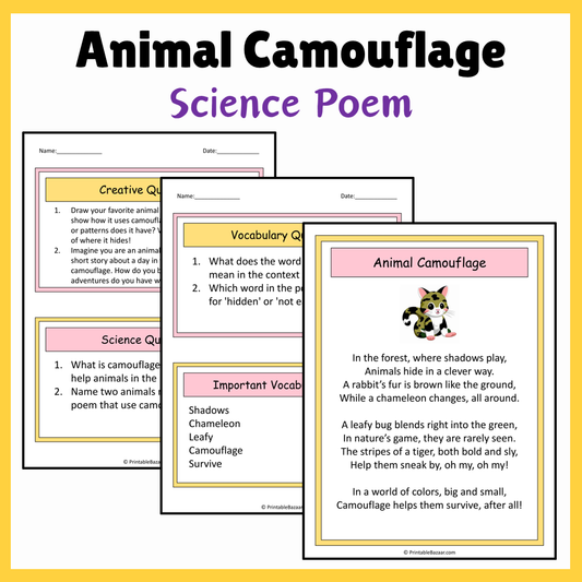 Animal Camouflage | Science Poem Reading Comprehension Activity