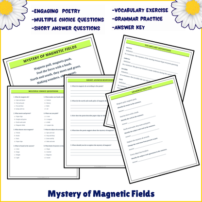 Mystery of Magnetic Fields | Poem Grammar Worksheet Printable Activity