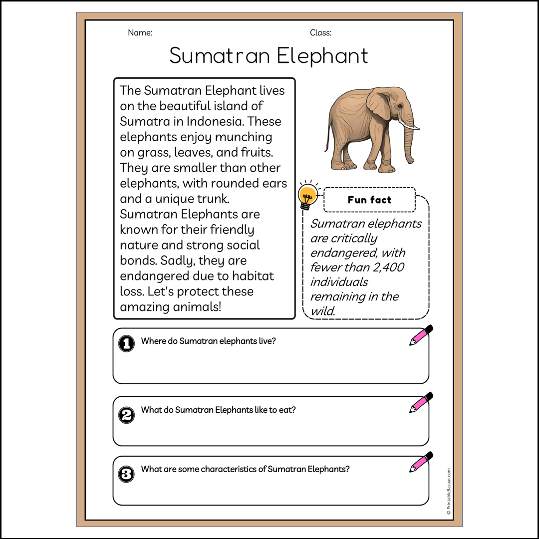 Sumatran Elephant | Reading Passage Comprehension Questions Writing Facts Worksheet