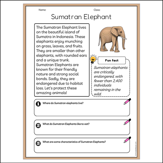 Sumatran Elephant | Reading Passage Comprehension Questions Writing Facts Worksheet