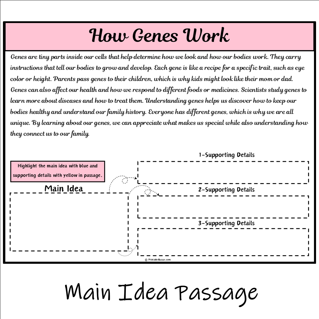 How Genes Work | Main Idea and Supporting Details Reading Passage and Questions