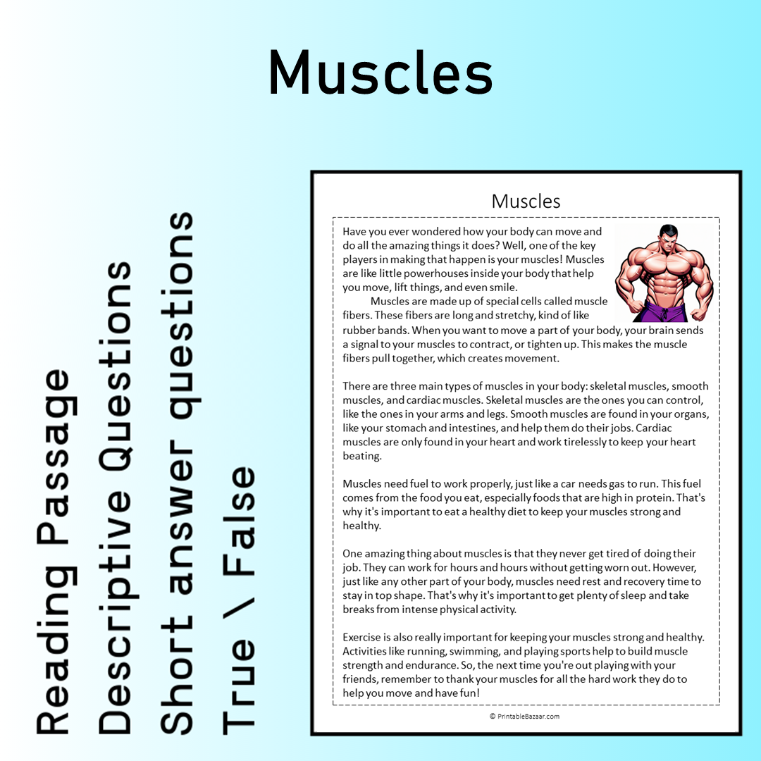 Muscles | Reading Comprehension Passage Printable Worksheet