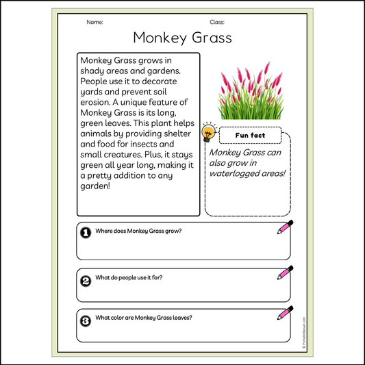 Monkey Grass | Reading Passage Comprehension Questions Writing Facts Worksheet