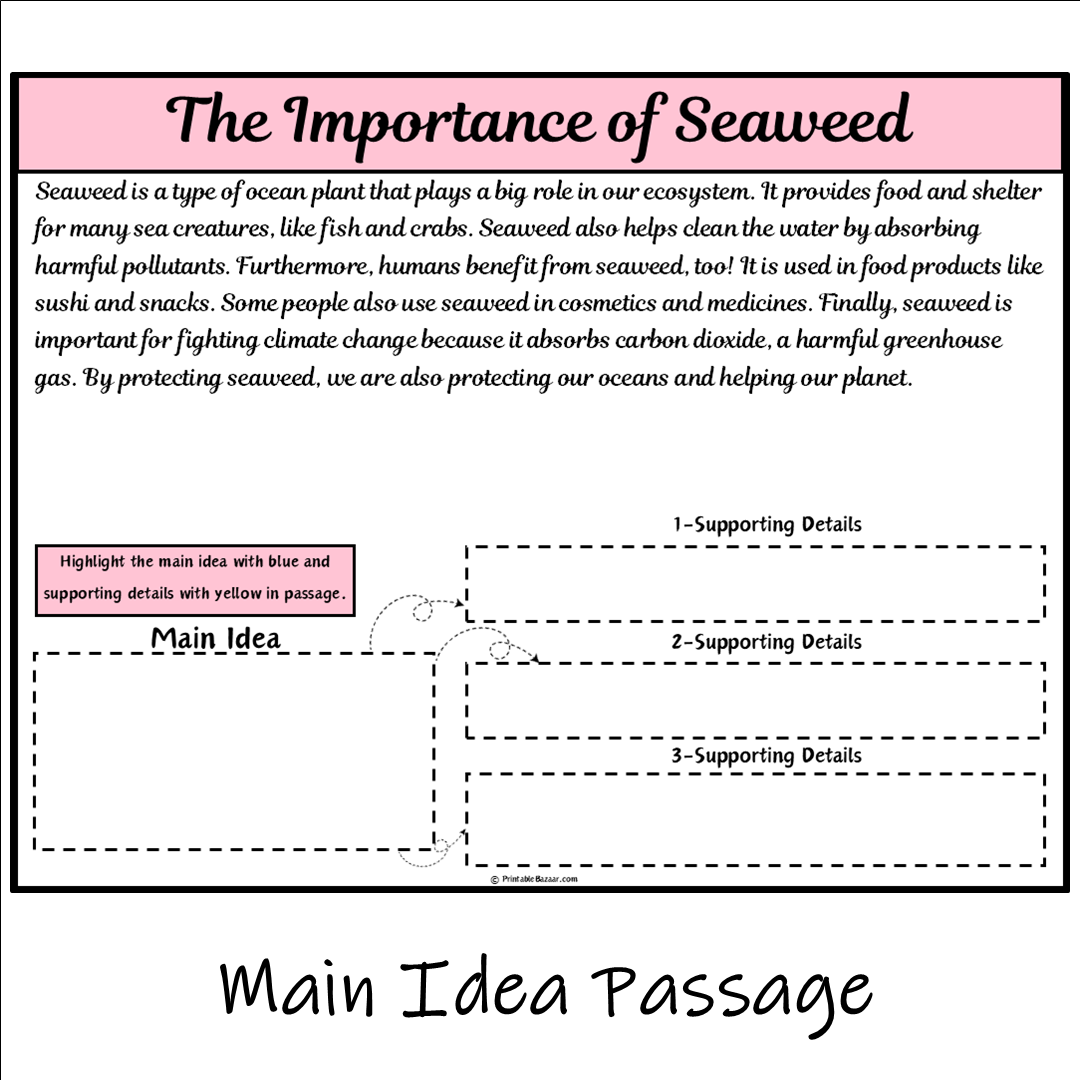 The Importance of Seaweed | Main Idea and Supporting Details Reading Passage and Questions