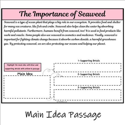 The Importance of Seaweed | Main Idea and Supporting Details Reading Passage and Questions