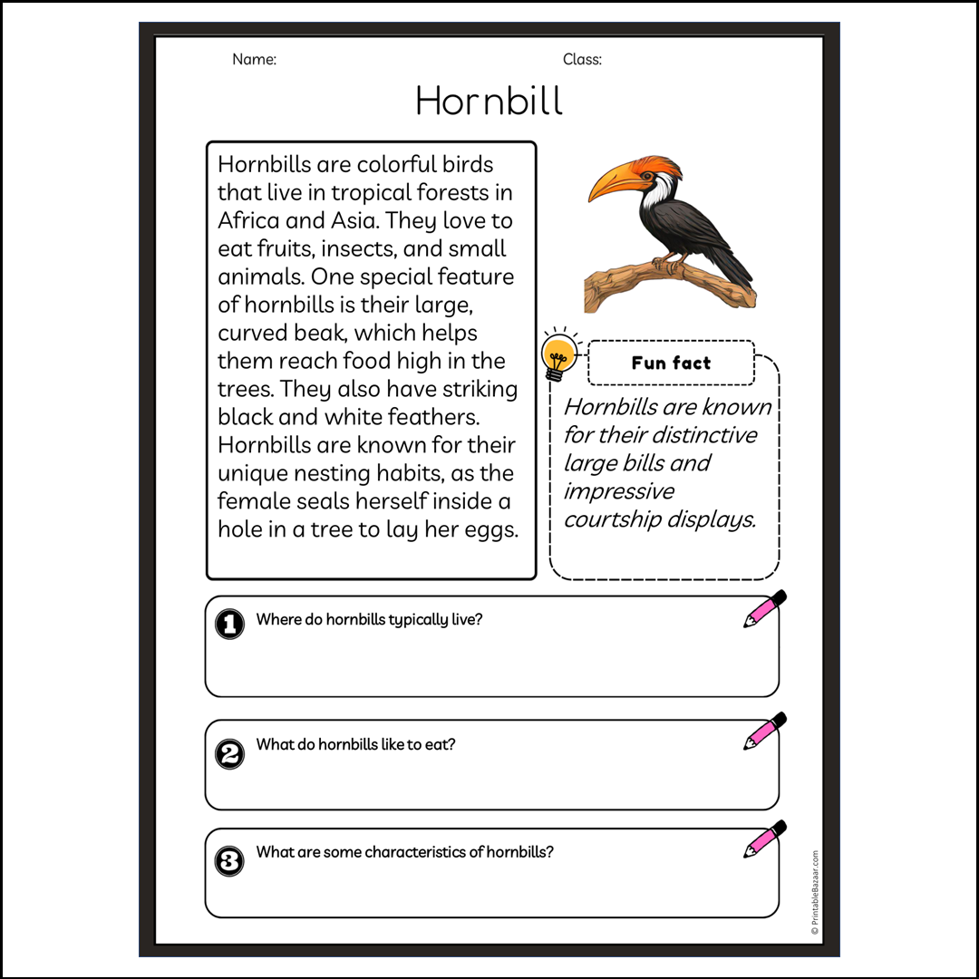 Hornbill | Reading Passage Comprehension Questions Writing Facts Worksheet