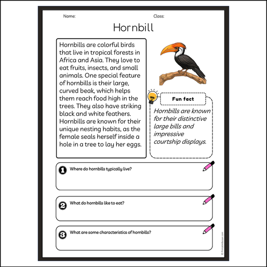 Hornbill | Reading Passage Comprehension Questions Writing Facts Worksheet