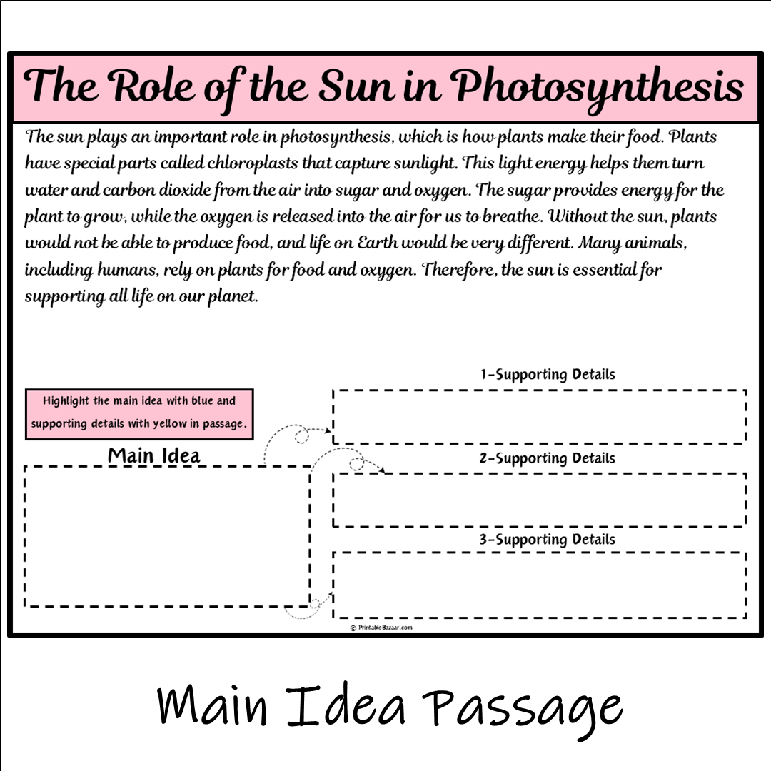 The Role of the Sun in Photosynthesis | Main Idea and Supporting Details Reading Passage and Questions