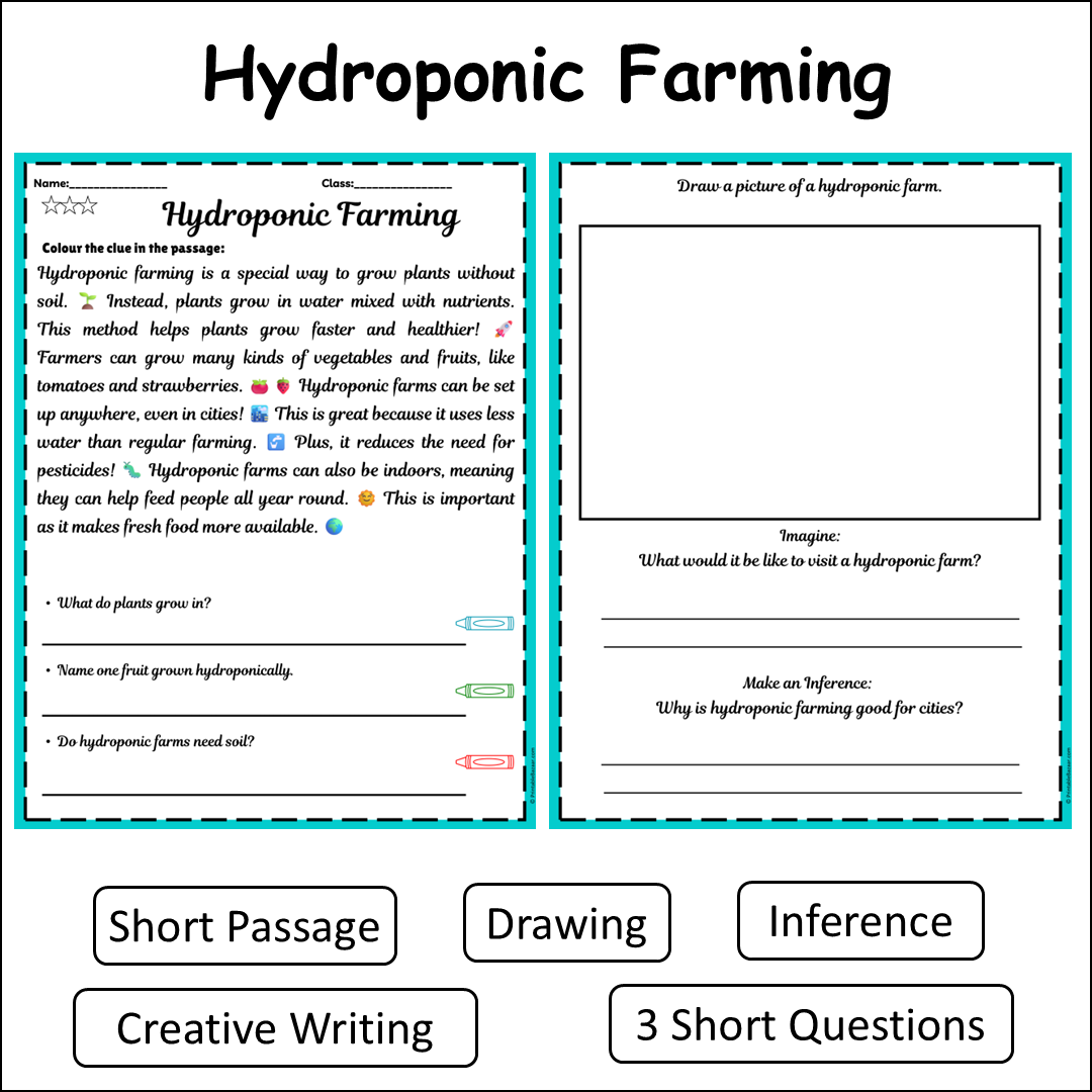Hydroponic Farming | Short Reading Comprehension Creative Worksheet