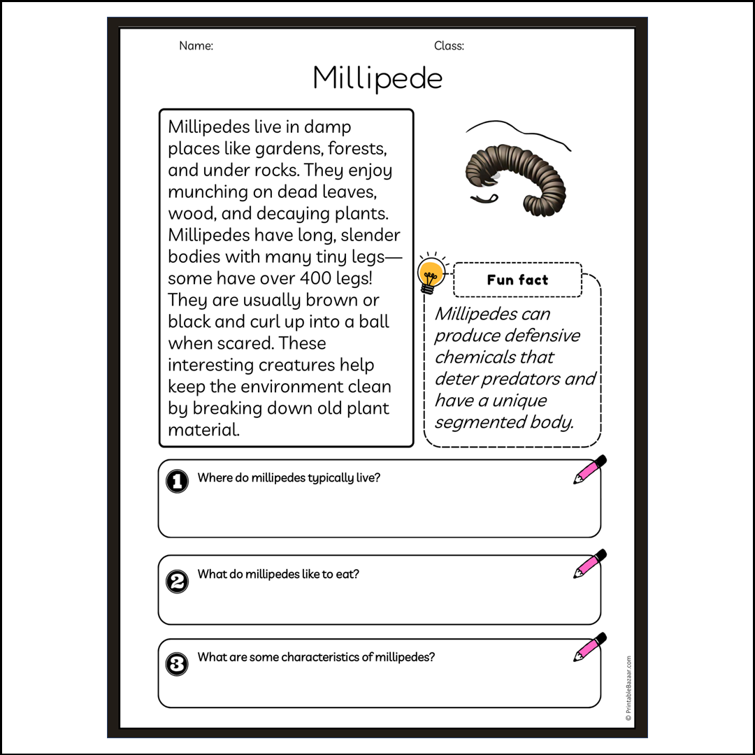 Millipede | Reading Passage Comprehension Questions Writing Facts Worksheet