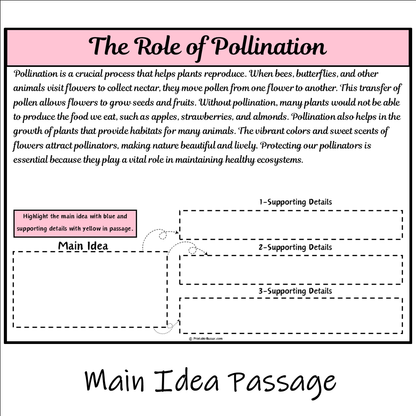 The Role of Pollination | Main Idea and Supporting Details Reading Passage and Questions