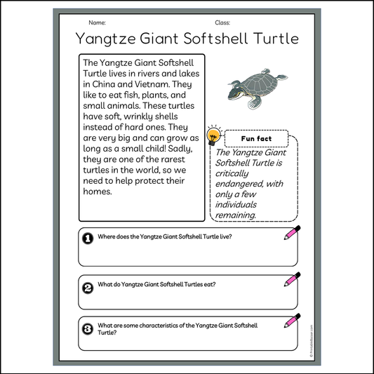 Yangtze Giant Softshell Turtle | Reading Passage Comprehension Questions Writing Facts Worksheet