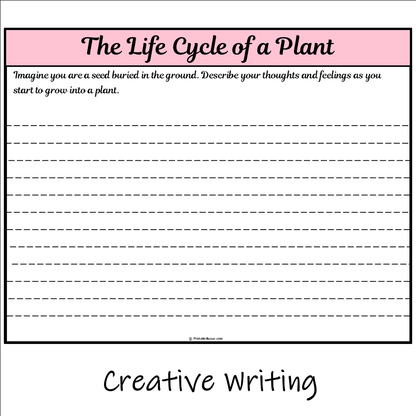 The Life Cycle of a Plant | Main Idea and Supporting Details Reading Passage and Questions