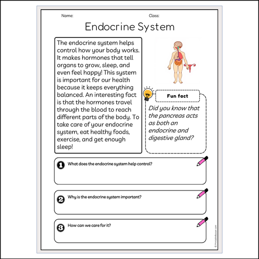 Endocrine System | Reading Passage Comprehension Questions Writing Facts Worksheet