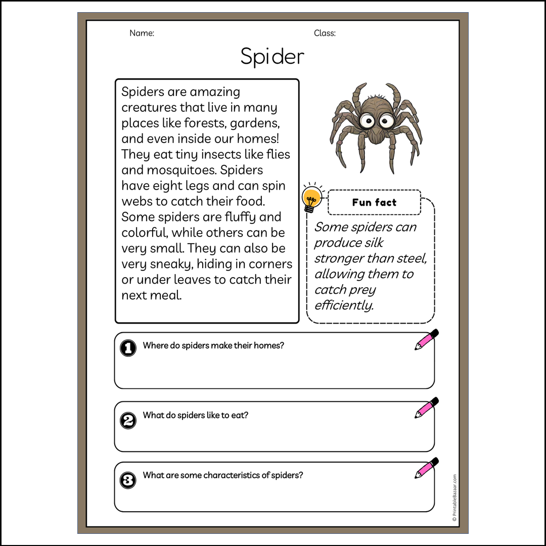 Spider | Reading Passage Comprehension Questions Writing Facts Worksheet