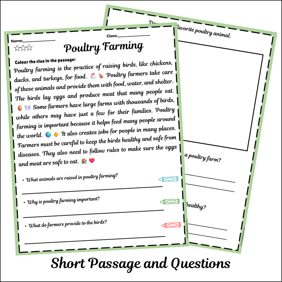 Poultry Farming | Short Reading Comprehension Creative Worksheet