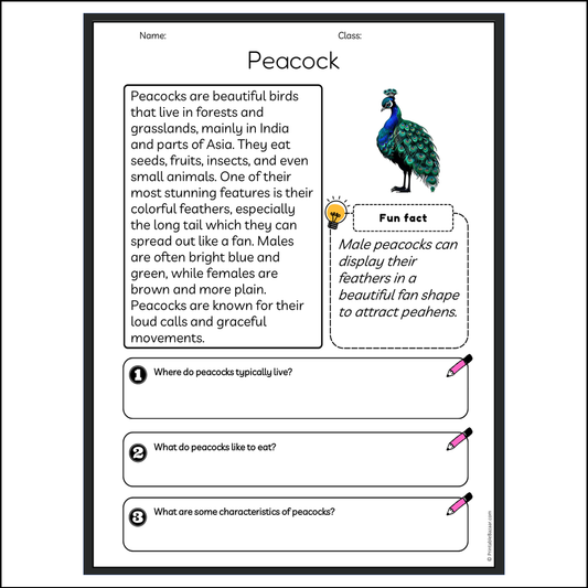 Peacock | Reading Passage Comprehension Questions Writing Facts Worksheet