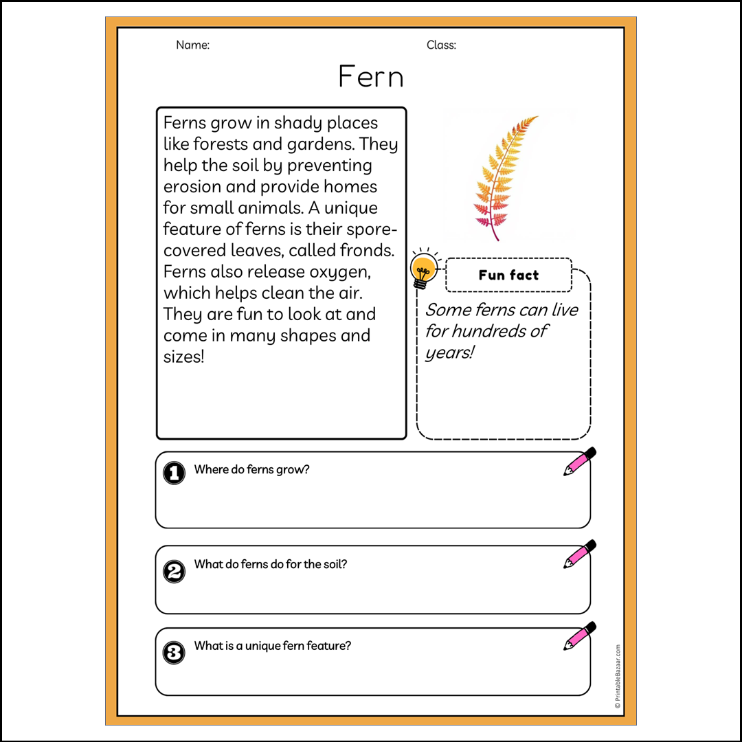 Fern | Reading Passage Comprehension Questions Writing Facts Worksheet