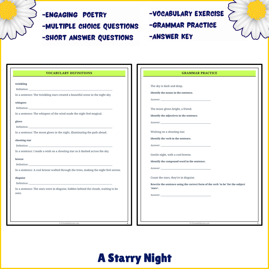 A Starry Night | Poem Grammar Worksheet Printable Activity