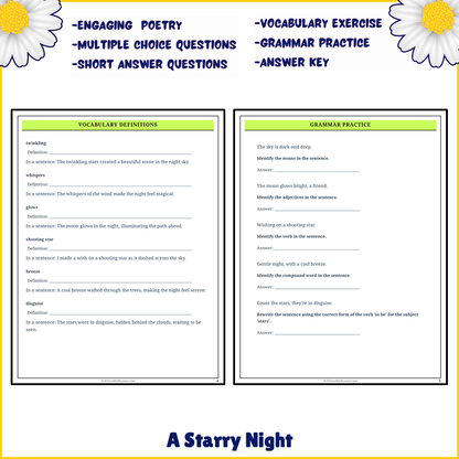 A Starry Night | Poem Grammar Worksheet Printable Activity