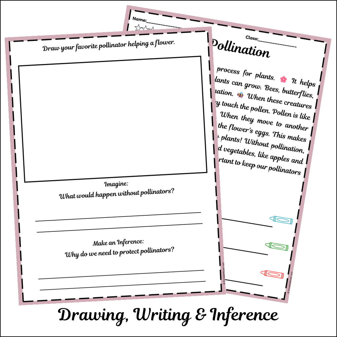 Pollination | Short Reading Comprehension Creative Worksheet
