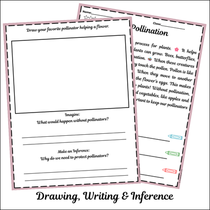 Pollination | Short Reading Comprehension Creative Worksheet
