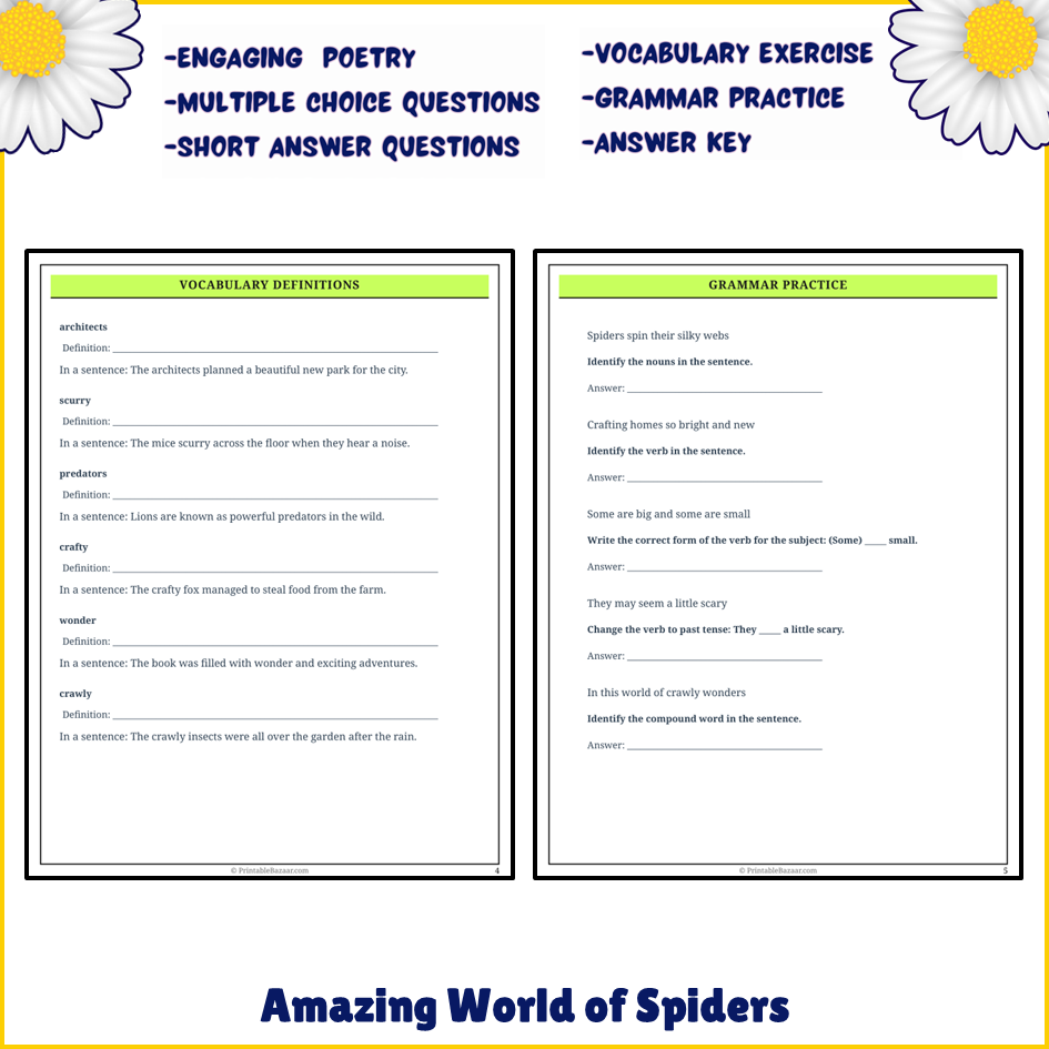 Amazing World of Spiders | Poem Grammar Worksheet Printable Activity