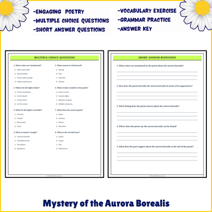 Mystery of the Aurora Borealis | Poem Grammar Worksheet Printable Activity