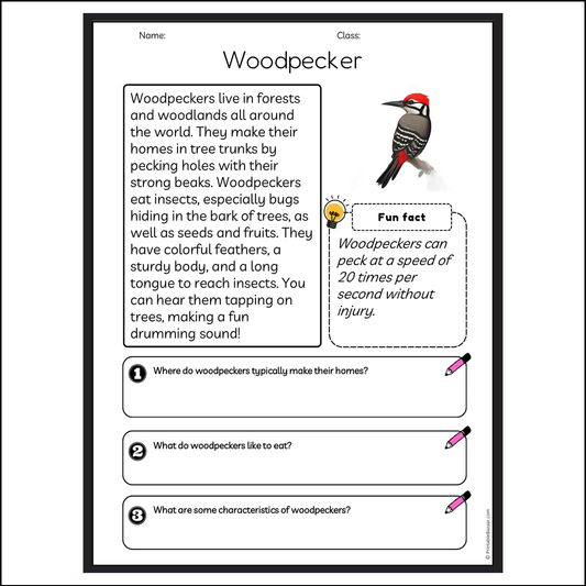 Woodpecker | Reading Passage Comprehension Questions Writing Facts Worksheet