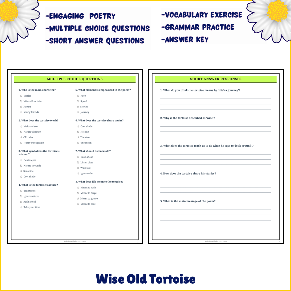 Wise Old Tortoise | Poem Grammar Worksheet Printable Activity