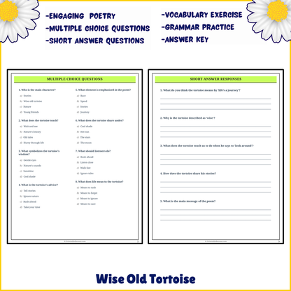 Wise Old Tortoise | Poem Grammar Worksheet Printable Activity