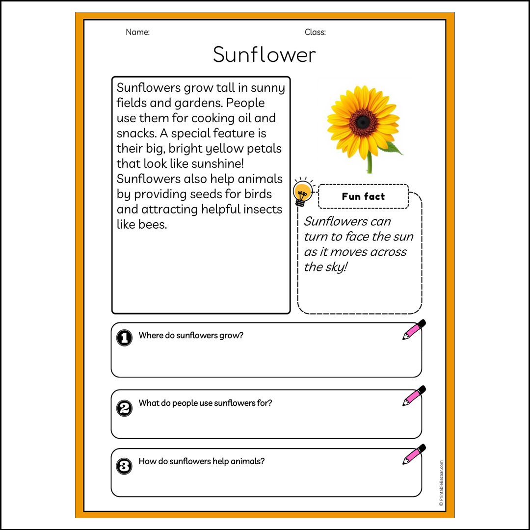 Sunflower | Reading Passage Comprehension Questions Writing Facts Worksheet