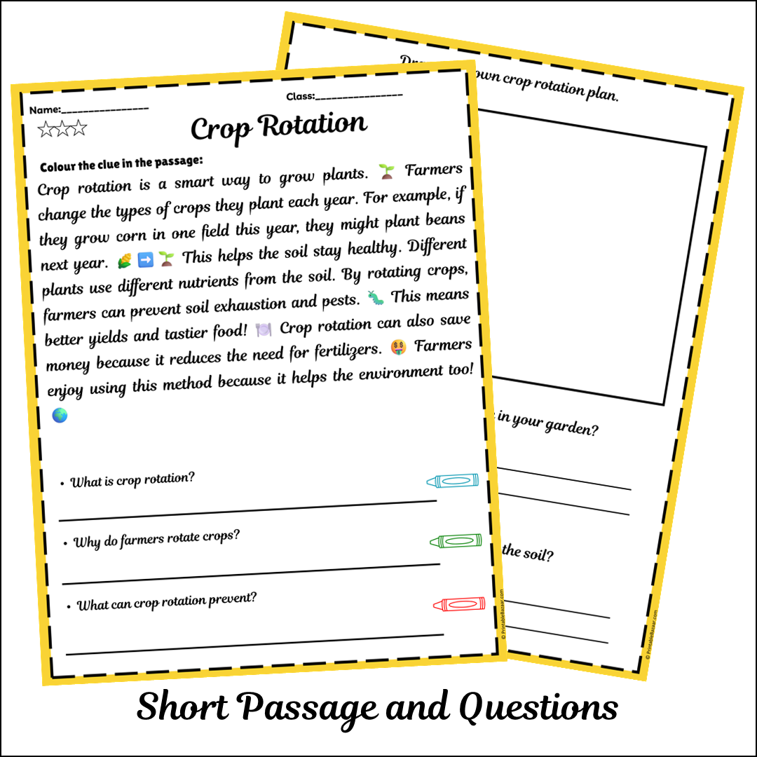 Crop Rotation | Short Reading Comprehension Creative Worksheet