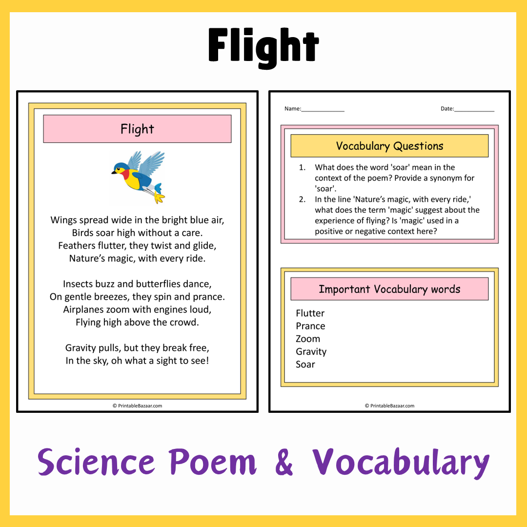 Flight | Science Poem Reading Comprehension Activity