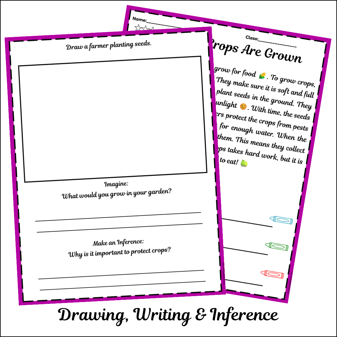 How Crops Are Grown | Short Reading Comprehension Creative Worksheet