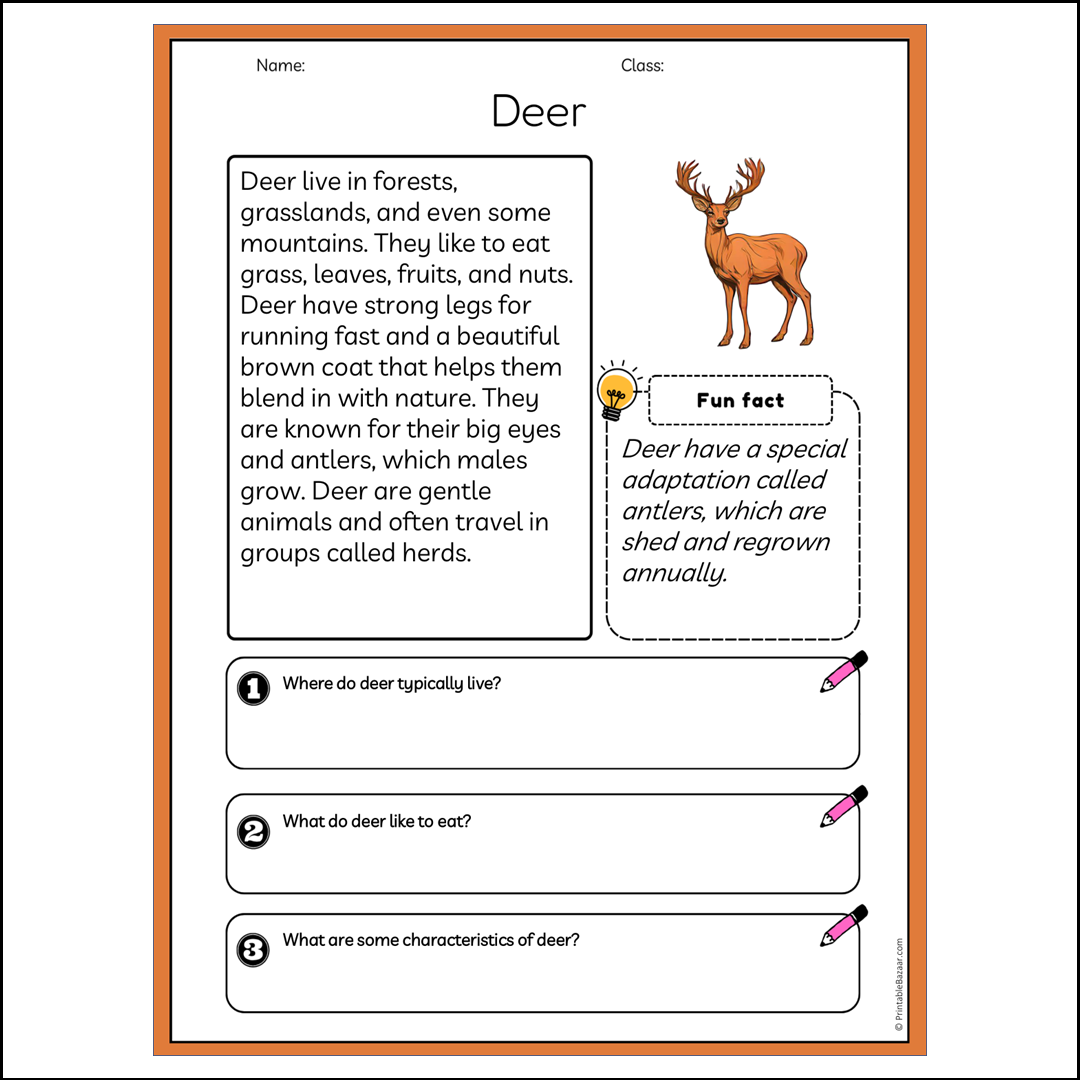 Deer | Reading Passage Comprehension Questions Writing Facts Worksheet