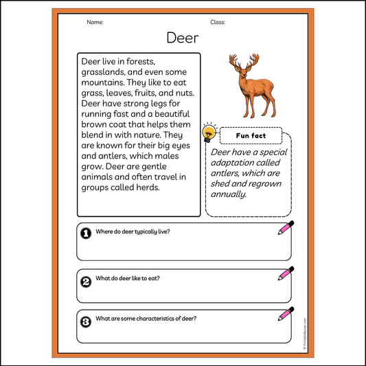 Deer | Reading Passage Comprehension Questions Writing Facts Worksheet