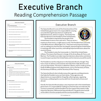 Executive Branch | Reading Comprehension Passage Printable Worksheet