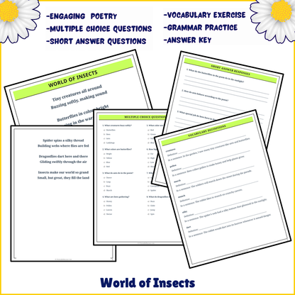 World of Insects | Poem Grammar Worksheet Printable Activity