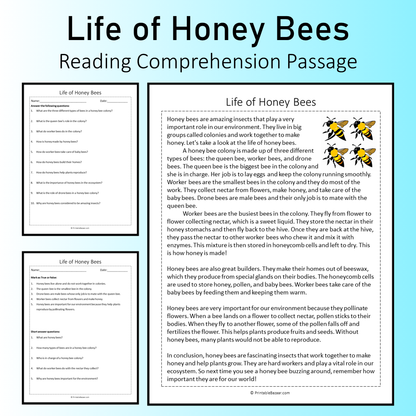 Life of Honey Bees | Reading Comprehension Passage Printable Worksheet