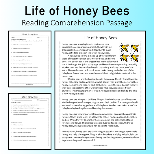 Life of Honey Bees | Reading Comprehension Passage Printable Worksheet