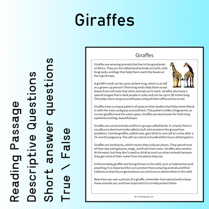 Giraffes | Reading Comprehension Passage Printable Worksheet